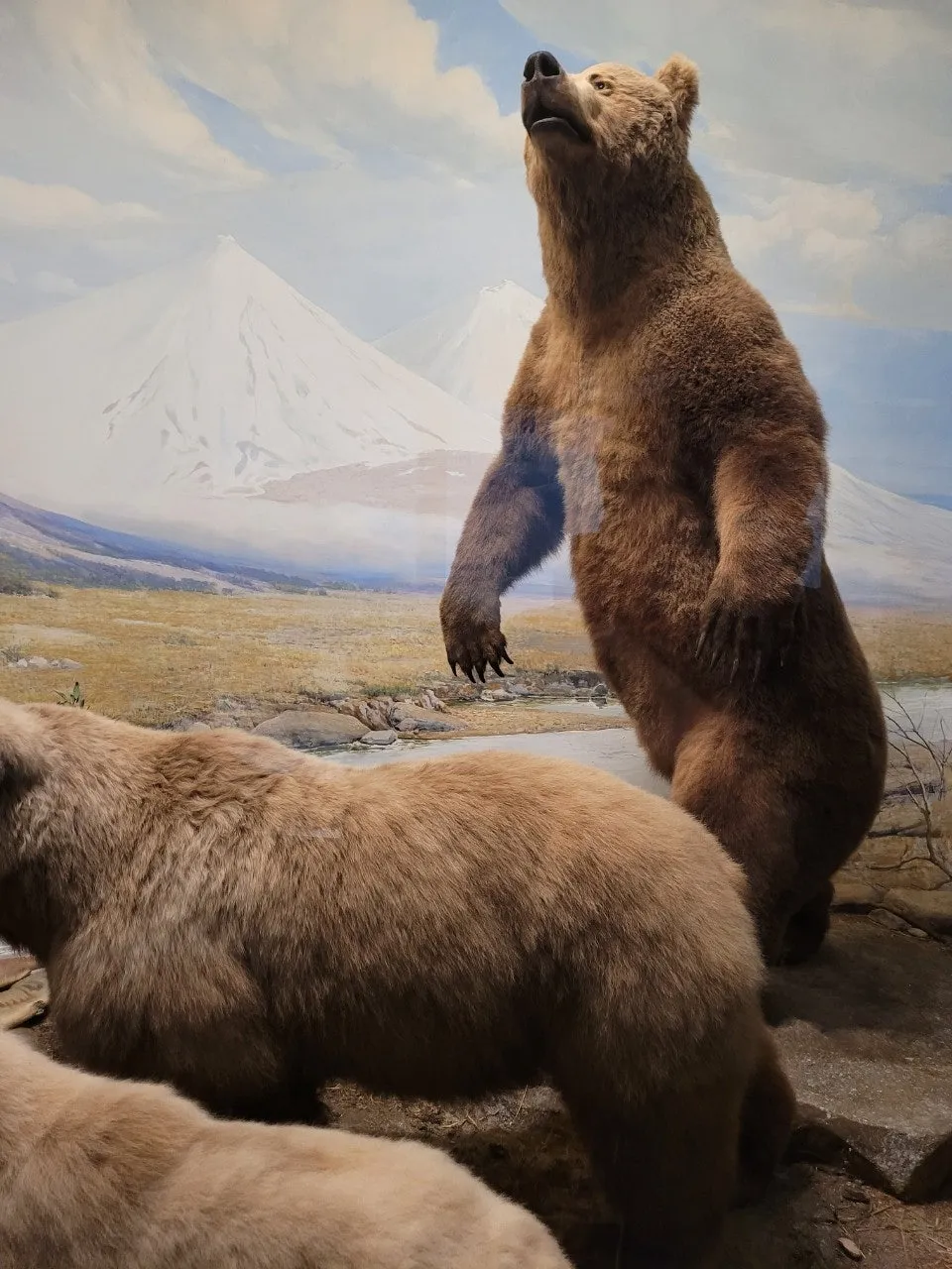 2_3aeUd018svcm7l0q8jo72eq_o81ygz.jpg?type=e1920_std