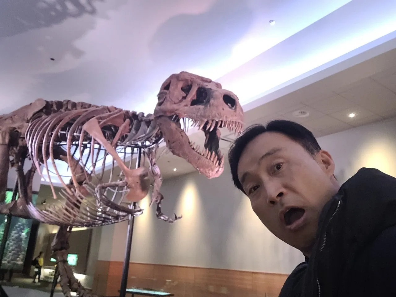 2_1aeUd018svc13e15gh00ufl8_o81ygz.jpg?type=e1920_std