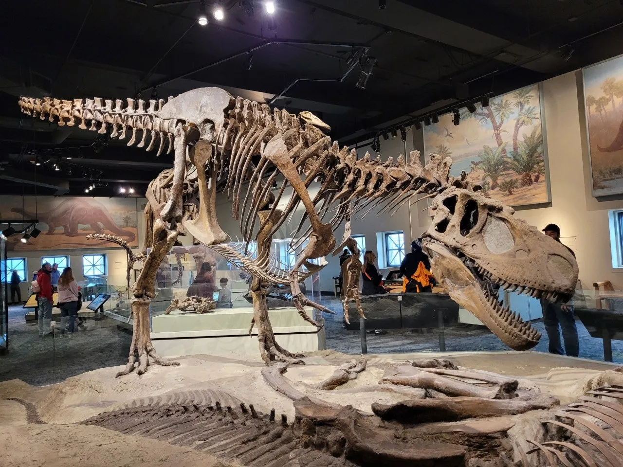 2_6aeUd018svc1ief599ukgdqv_o81ygz.jpg?type=e1920_std