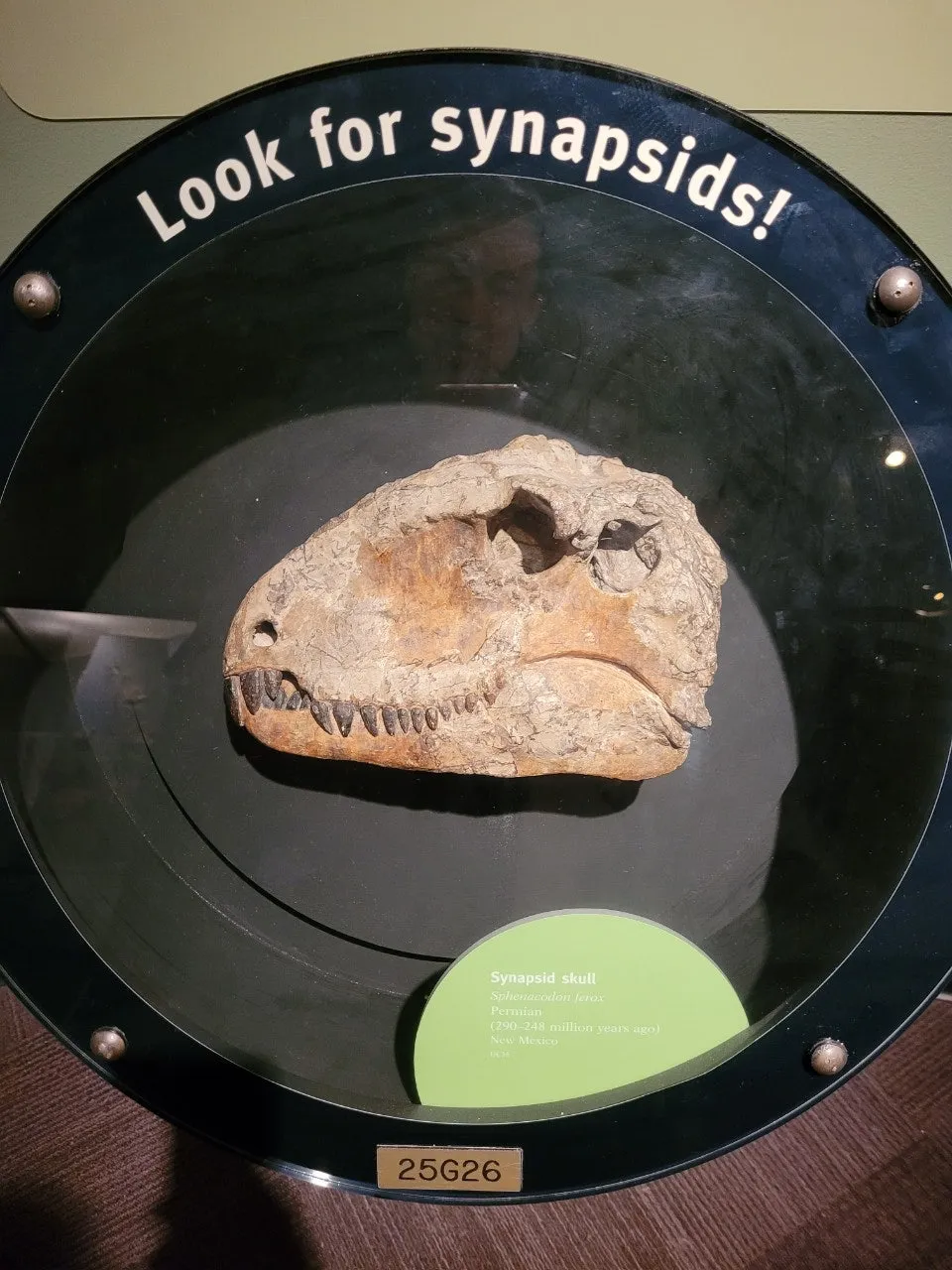 2_1aeUd018svcx2fl5k02uvue_o81ygz.jpg?type=e1920_std