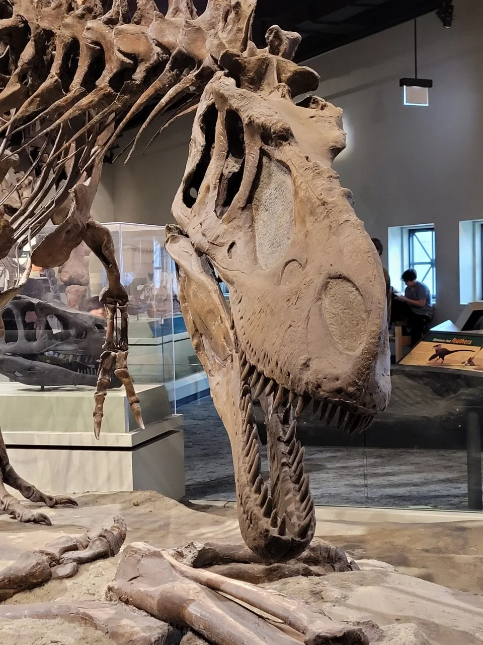 2_6aeUd018svcl9r2z3wzwq6g_o81ygz.jpg?type=e1920_std