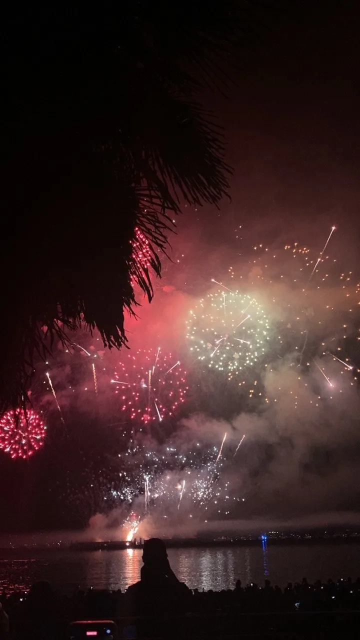 h_445Ud018svc1mhg4wmtx01qd_o81ygz.jpg?type=e1920_std