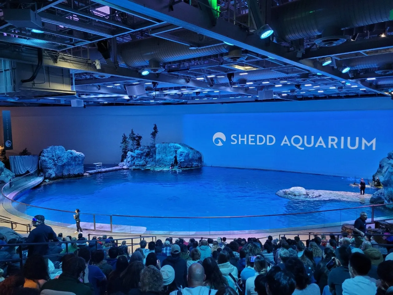 9_79fUd018svc1x9vnugib7iuh_o81ygz.jpg?type=e1920_std