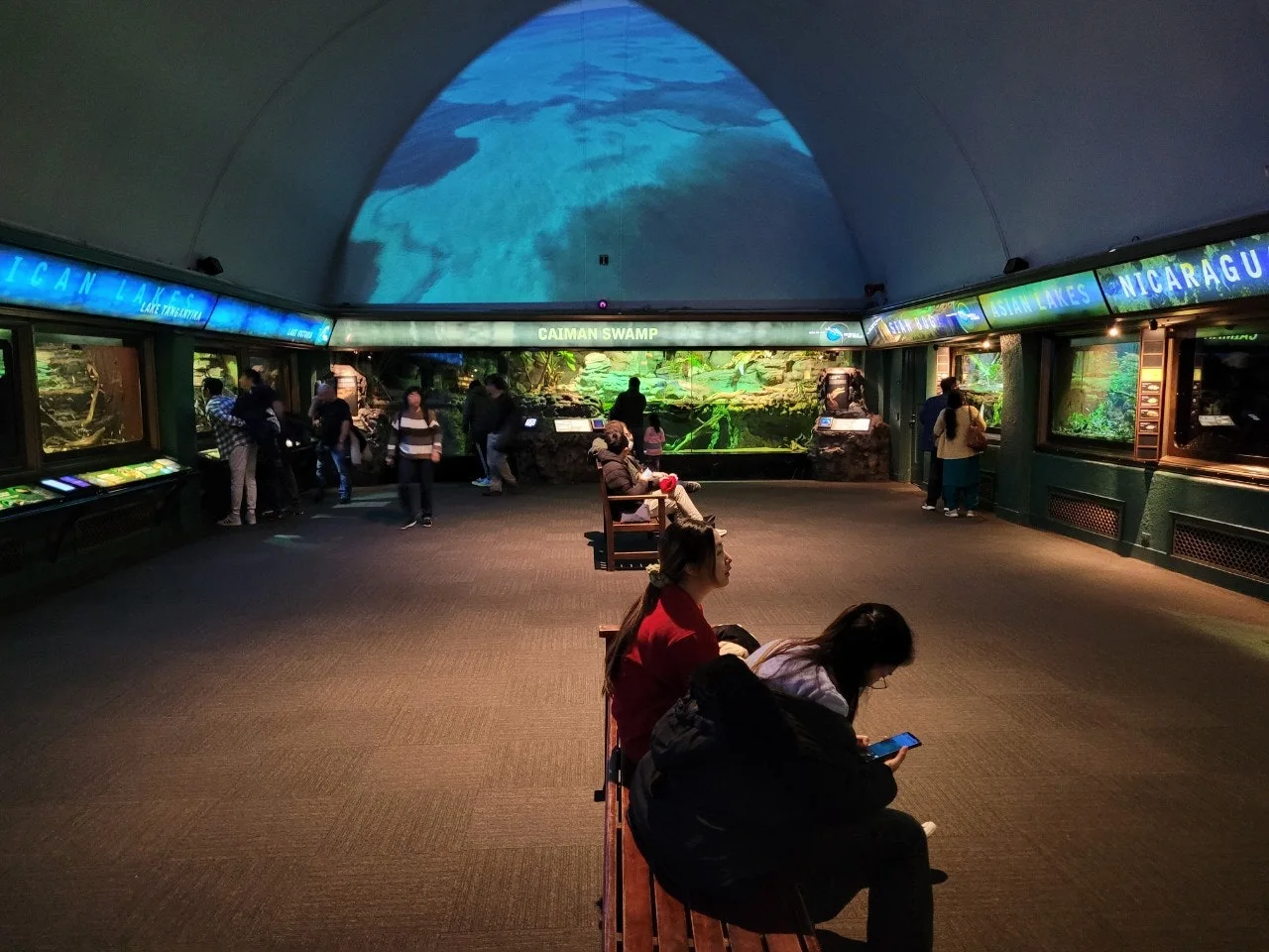 9_39fUd018svc1p39buh2azwgx_o81ygz.jpg?type=e1920_std