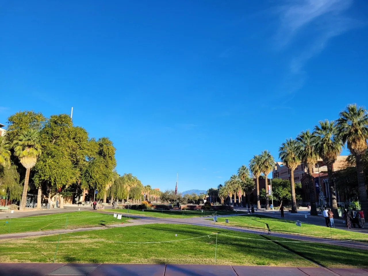 5_ggjUd018svc891xmmekta2w_o81ygz.jpg?type=e1920_std