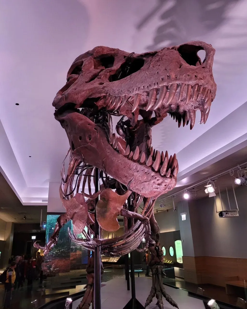 2_2aeUd018svc1c15dng80frr_o81ygz.jpg?type=e1920_std