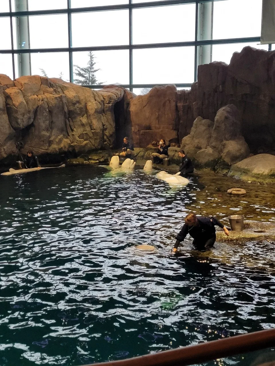 9_39fUd018svc1ltd187ut7l47_o81ygz.jpg?type=e1920_std