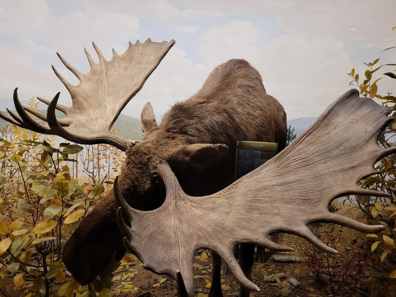 2_3aeUd018svcz1c3kf7mb9uz_o81ygz.jpg?type=e1920_std