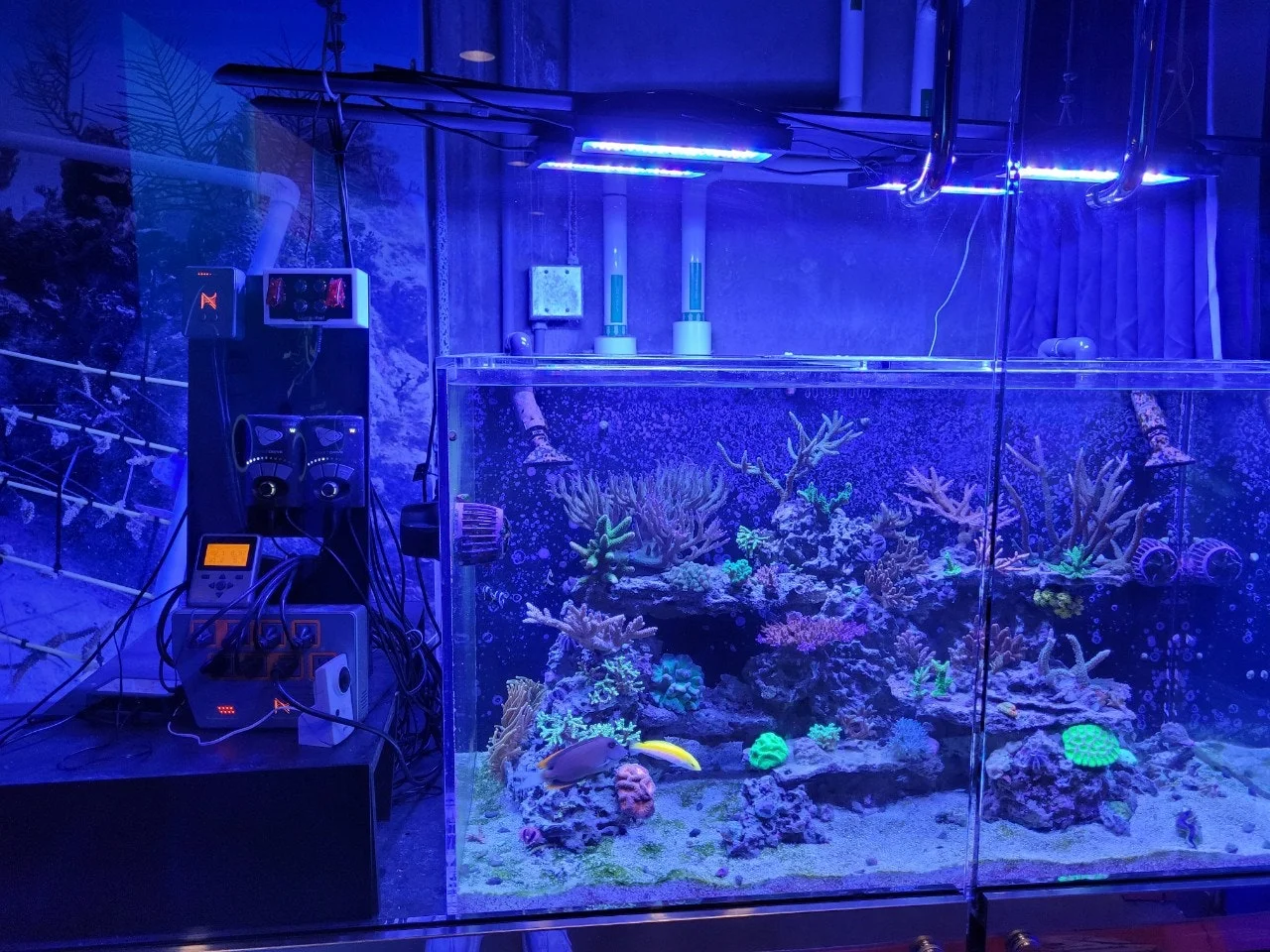 9_19fUd018svc181ggd3ivhyth_o81ygz.jpg?type=e1920_std