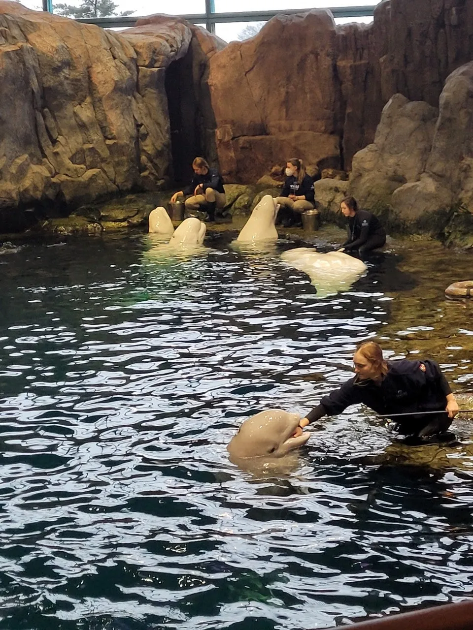 9_59fUd018svckny5xnh9vlpt_o81ygz.jpg?type=e1920_std