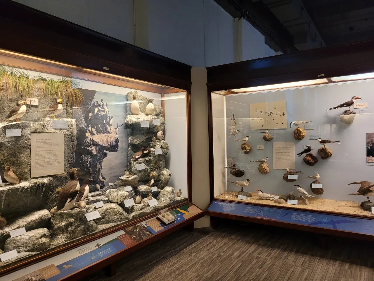 2_7aeUd018svcf7k4vsi4v54o_o81ygz.jpg?type=e1920_std