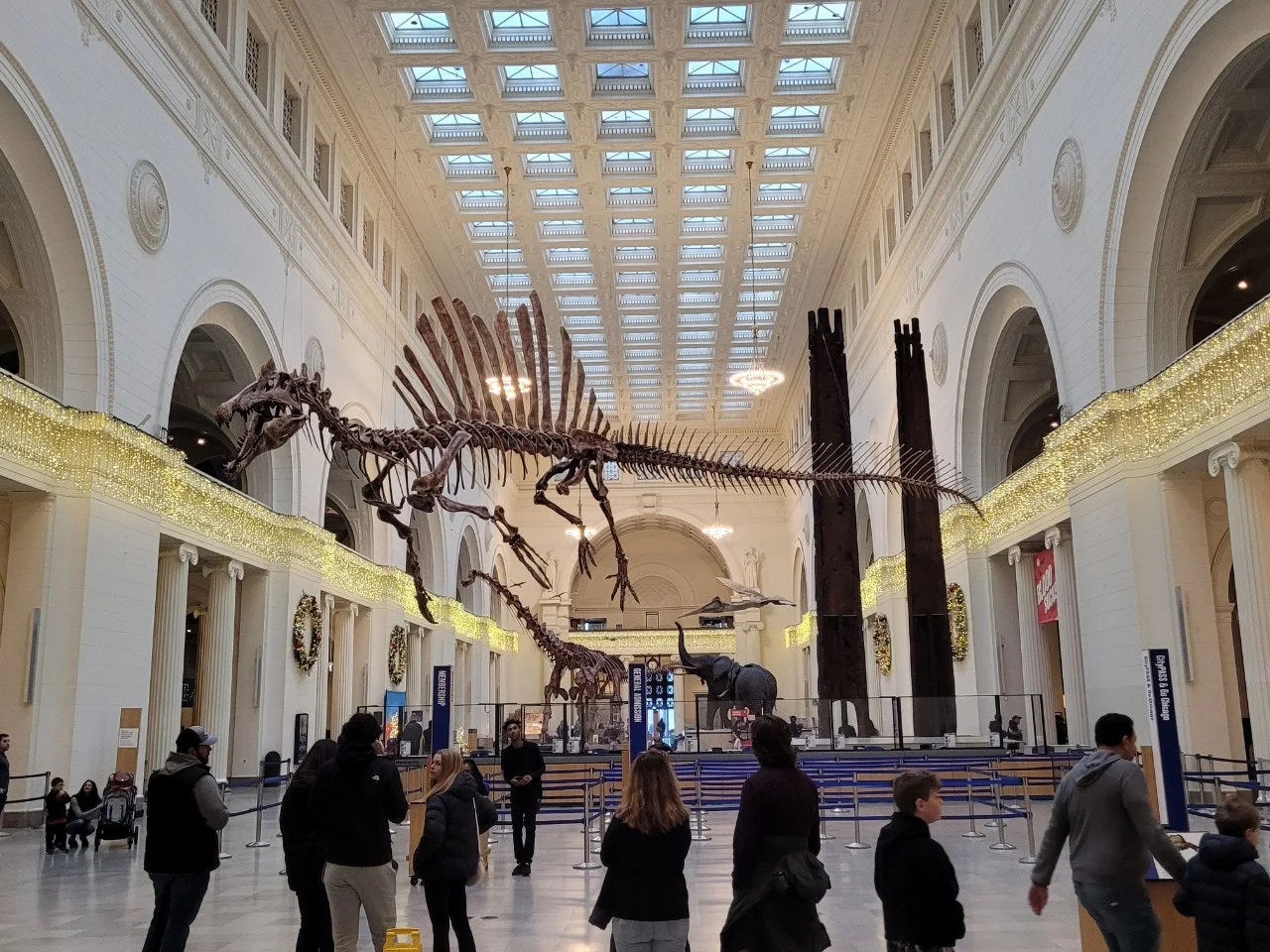 2_aaeUd018svc1mgz54kfrrxsd_o81ygz.jpg?type=e1920_std