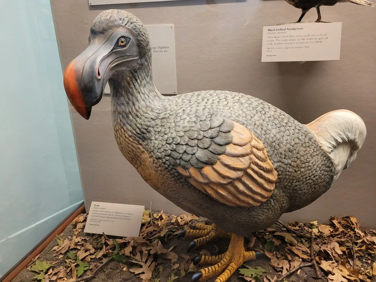 2_6aeUd018svc76md2q9tewpo_o81ygz.jpg?type=e1920_std