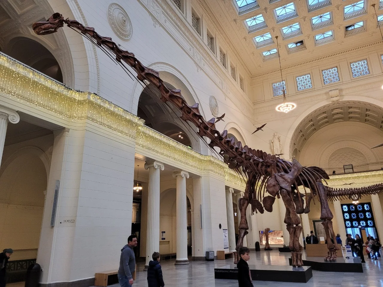 2_aaeUd018svc1qejpmdmkk1nu_o81ygz.jpg?type=e1920_std