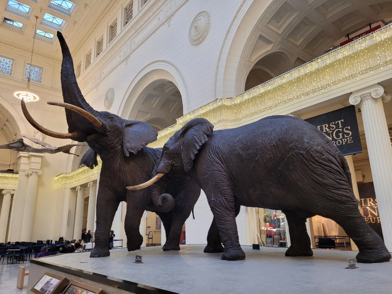 2_aaeUd018svc91aodcwylo7z_o81ygz.jpg?type=e1920_std