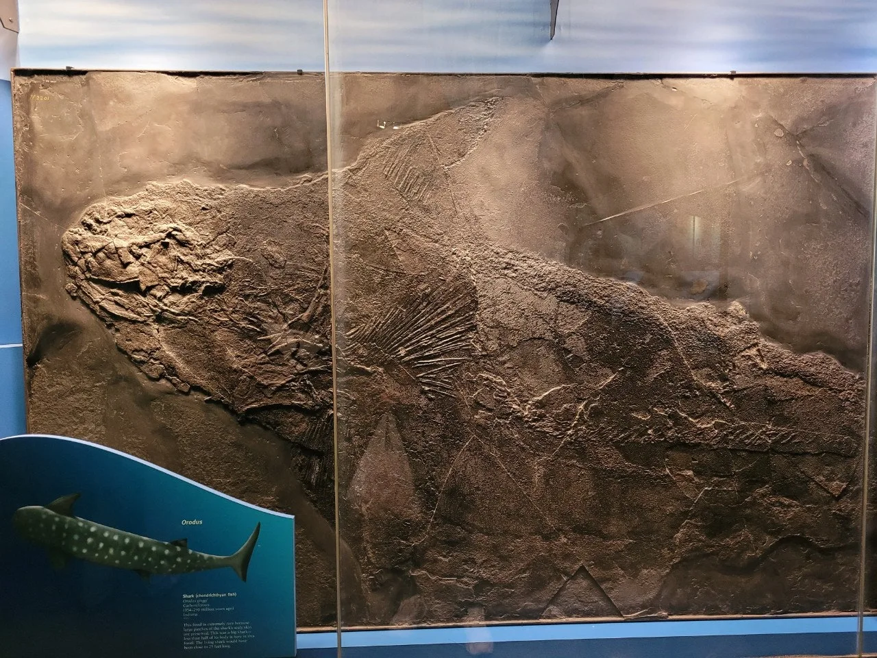 2_baeUd018svccvbocg8v4d8i_o81ygz.jpg?type=e1920_std