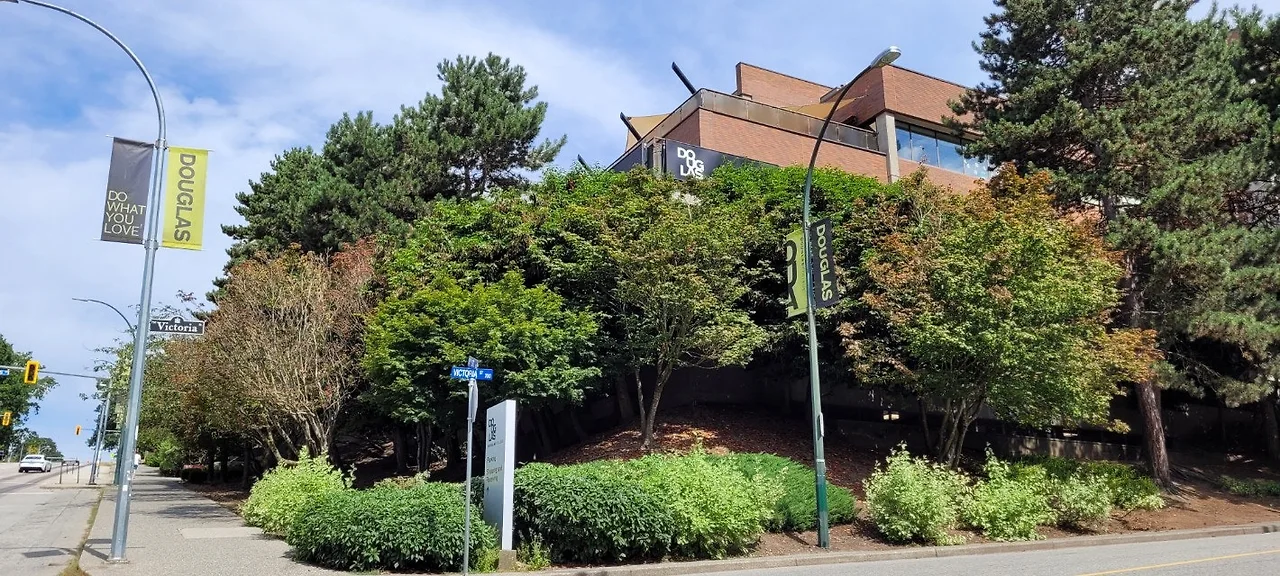 h_i88Ud018svc1xl5yrhrccqir_o81ygz.jpg?type=e1920_std