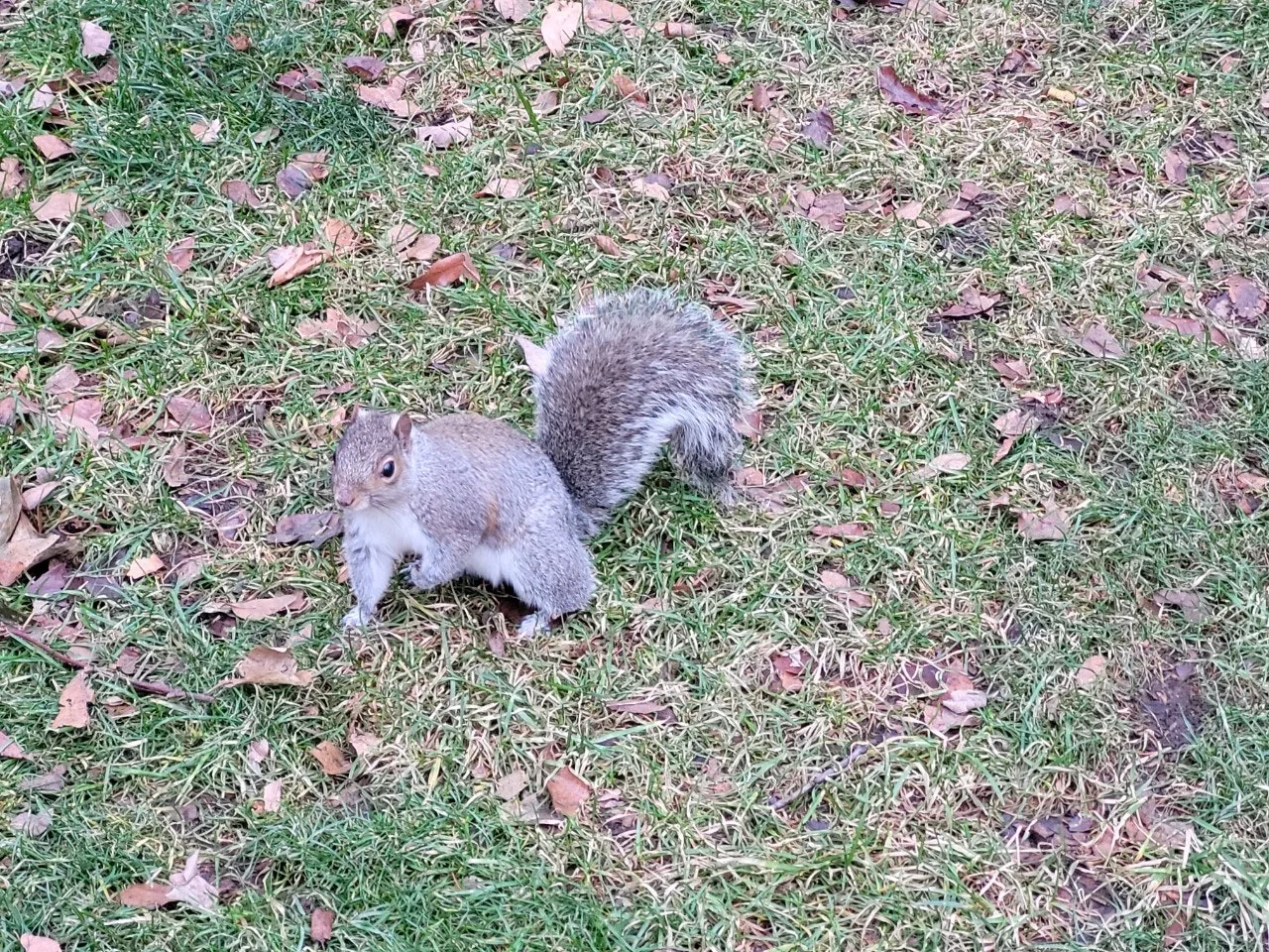 j_j6dUd018svc1ixdaafrpva7t_o81ygz.jpg?type=e1920_std