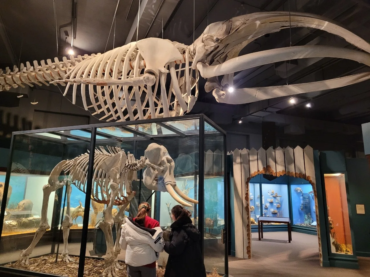 2_5aeUd018svc1x2me9wk14a09_o81ygz.jpg?type=e1920_std