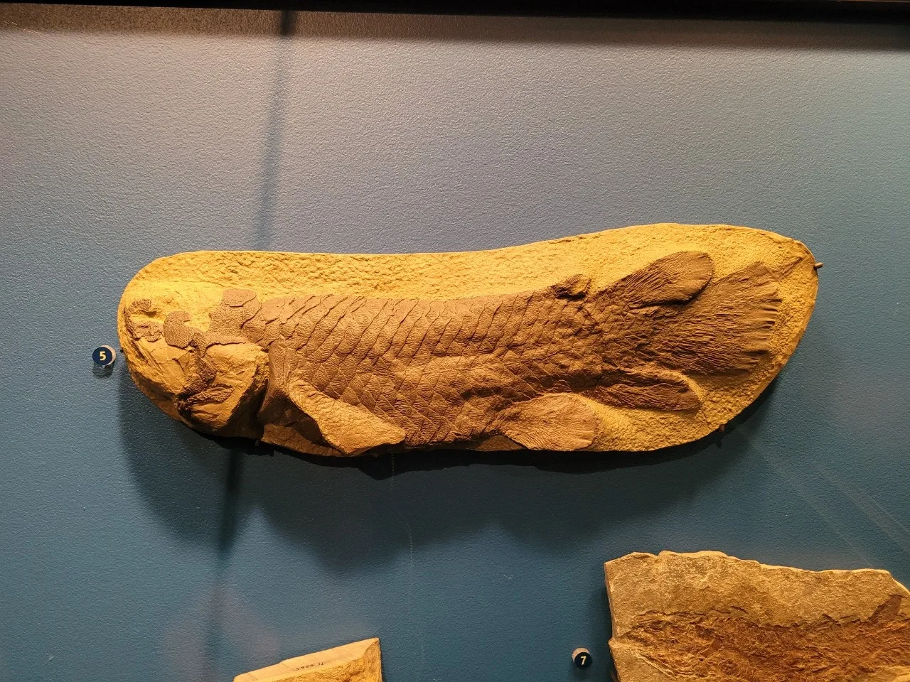 2_caeUd018svc37ridznmrns7_o81ygz.jpg?type=e1920_std