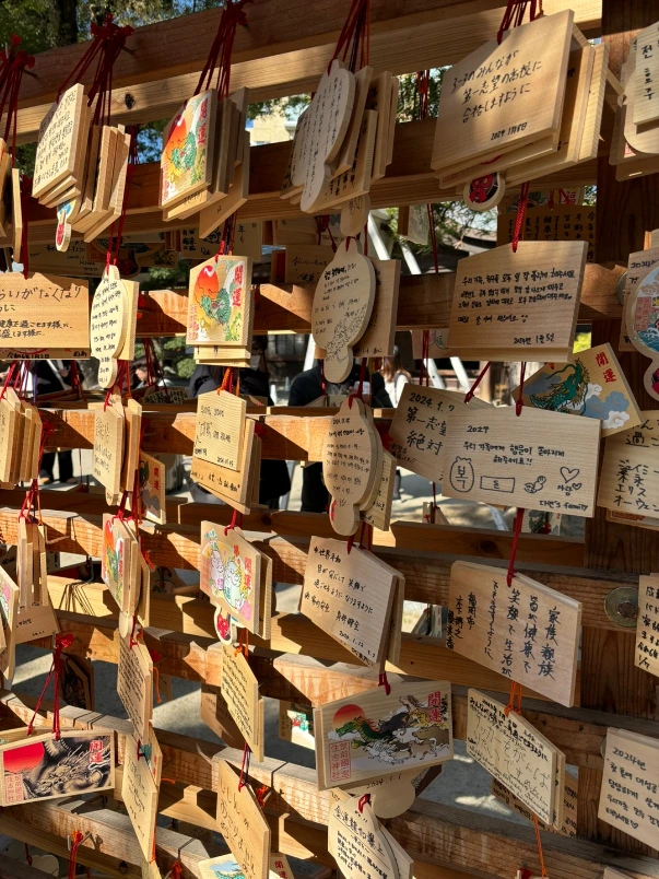 fFw3qGWFW-wj2-KXayVaZuqFCJDjvHYOzm_ZHkUTebjsHMw2fLWq57RiP9EKU7YYsKC_Eij0Ia6tGAjSX6pp6NAenWvou3x09NljNCqK3wRZOBMhnGct61NkNiRGpsehup3H2gNmkp5l73wVxyKxyw