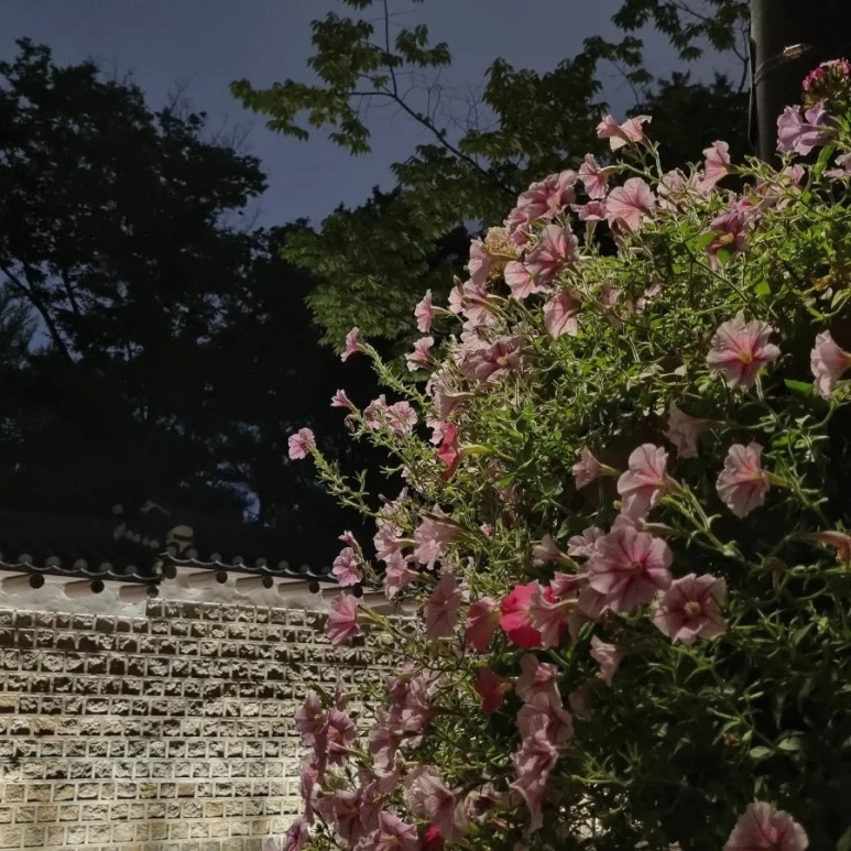 IMG%EF%BC%BF20230628%EF%BC%BF233321%EF%BC%BF147.jpg?type=w773