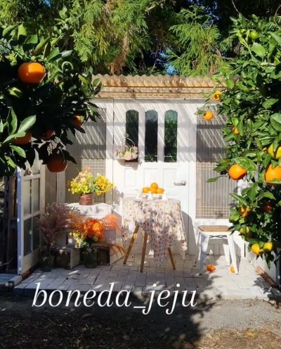 output_3475324706.jpg?type=w400