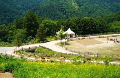 IMG_9258.JPG?type=w400