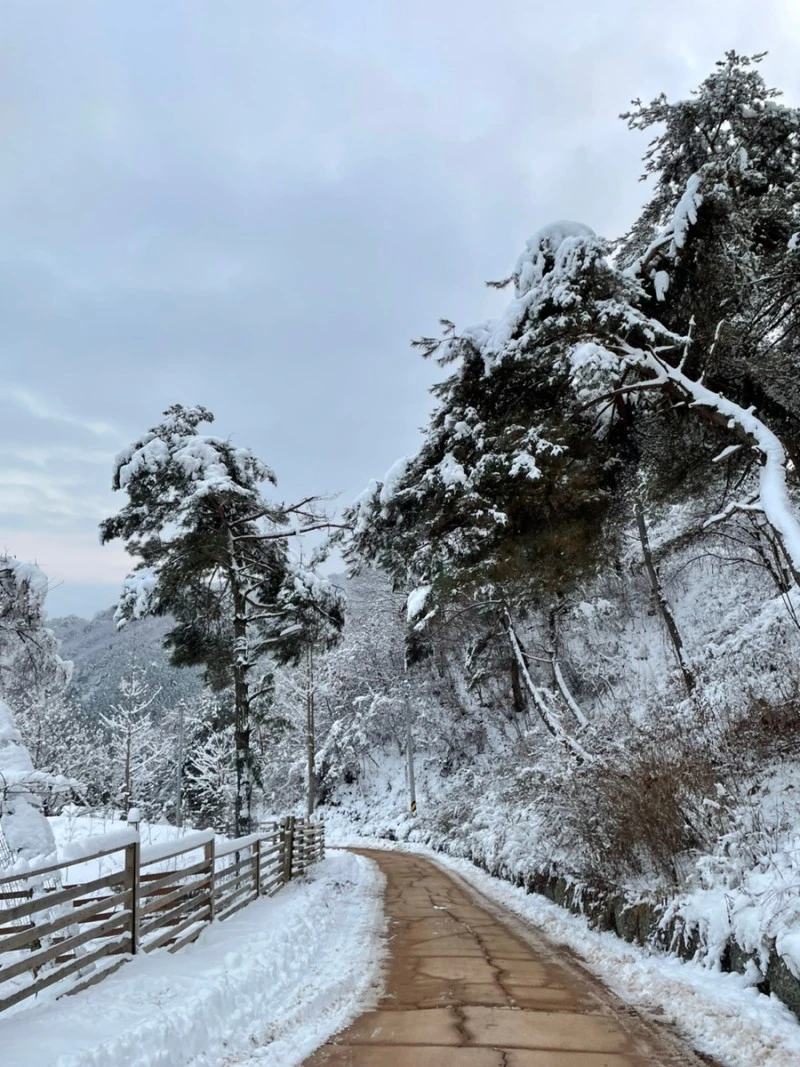 3472508363338943828_20231208015150041.jpg?type=w800