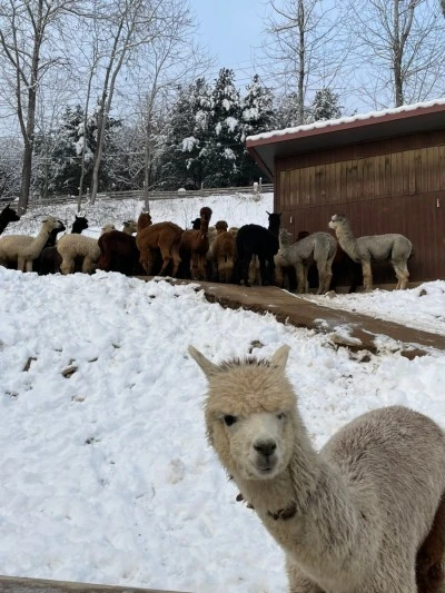 3472508363307992404_20231208015204499.jpg?type=w400