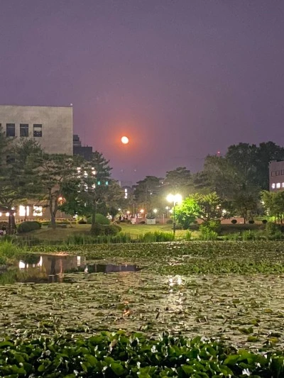 IMG_3649.jpg?type=w400