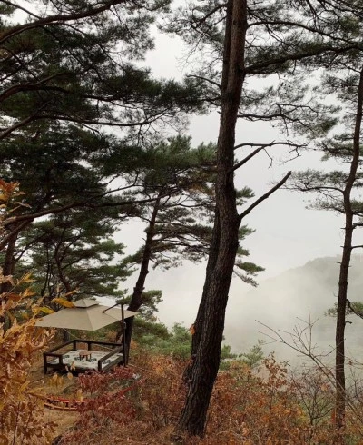 output_167236678.jpg?type=w400