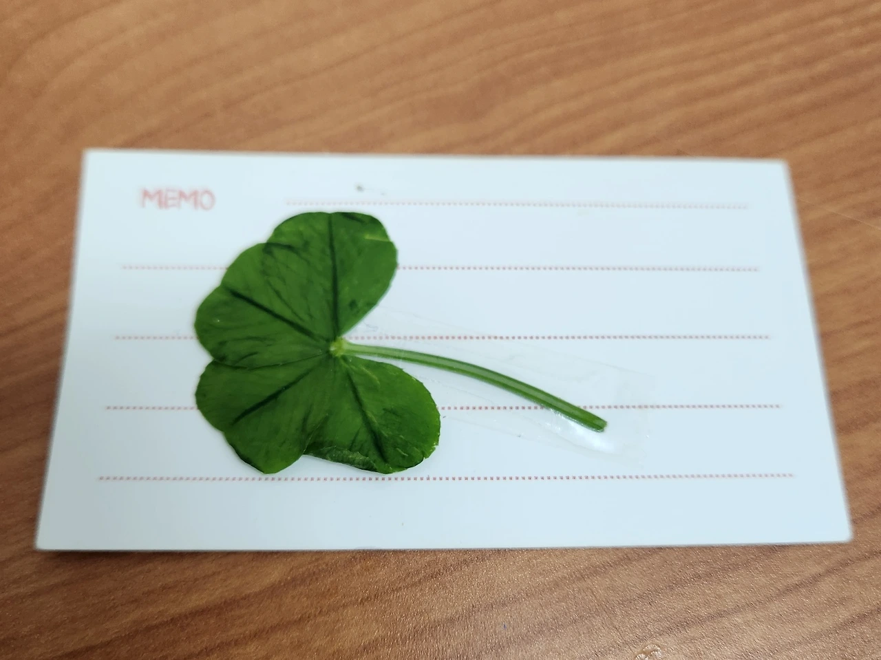 KakaoTalk_20240526_113630304.jpg?type=w3840