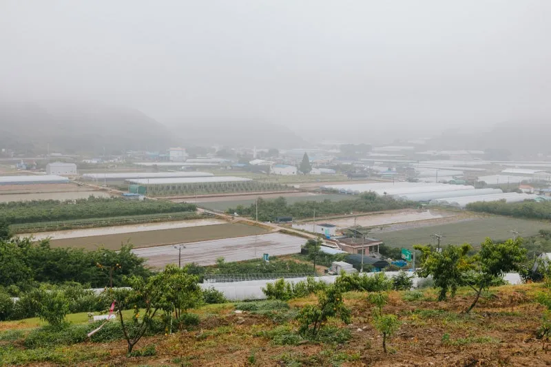 0Q8A8315.jpg?type=w800