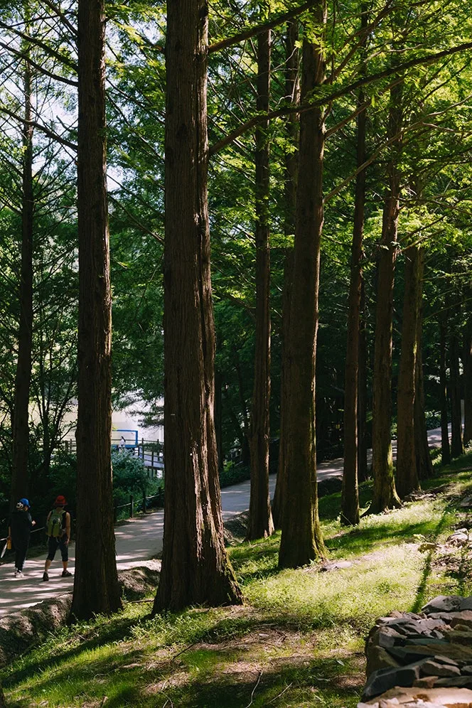 0Q8A7789.jpg?type=w800