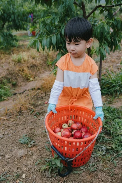 0Q8A8325.jpg?type=w400