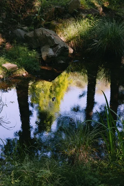 0Q8A7798.jpg?type=w400