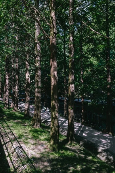 0Q8A7780.jpg?type=w400