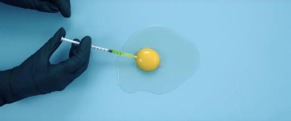 The_Substance_01.jpg?type=w1