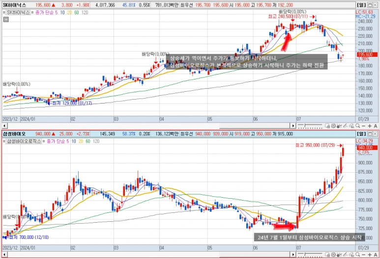 SE-bf5b317d-325d-4402-8492-fe574786fb9e.png?type=w773