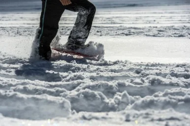 photo_2025-01-06_03-24-28.jpg?type=w386