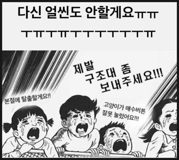 KakaoTalk_20241202_091112810.jpg?type=w773