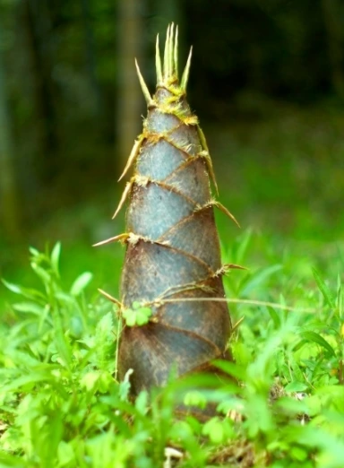 KakaoTalk_20230921_163202748.png?type=w773