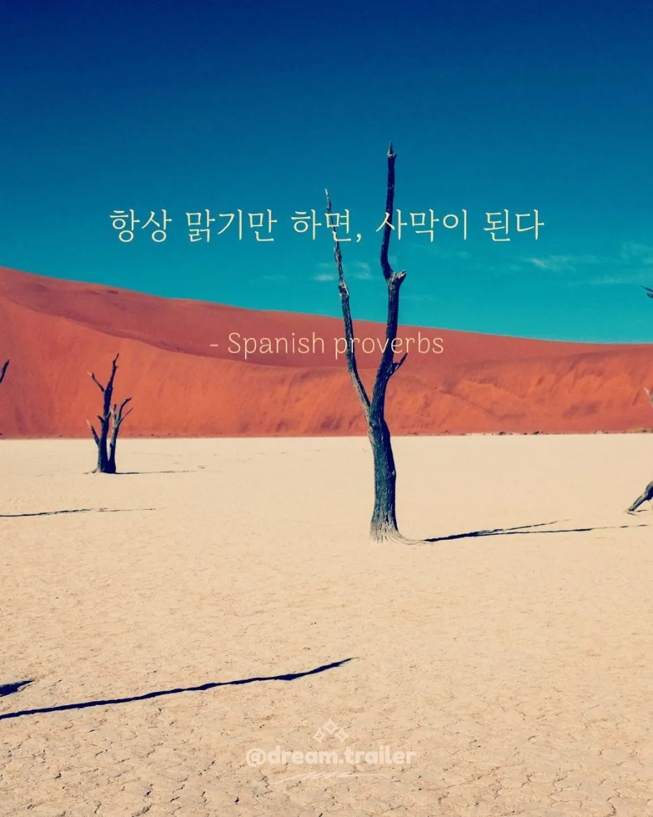 KakaoTalk_20240711_234908135.jpg?type=w1