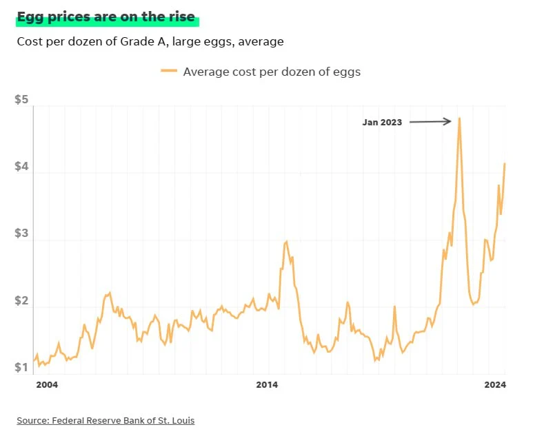 photo_2025-02-12_21-24-11.jpg?type=w1