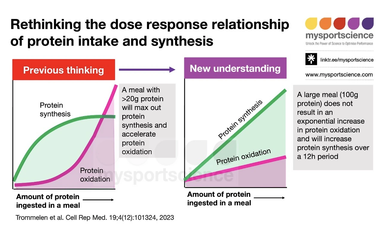 %EC%8A%A4%ED%81%AC%EB%A6%B0%EC%83%B7_2024-08-13_13.12.57.png?type=w3840