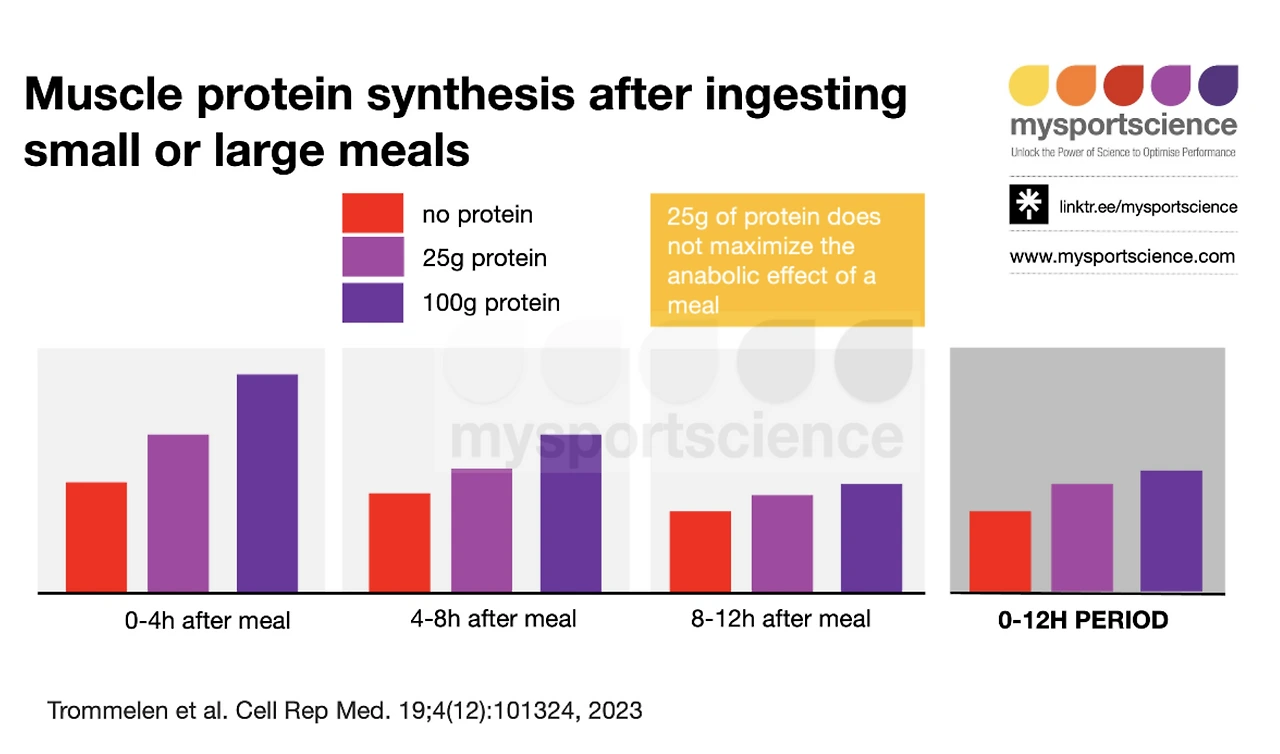 %EC%8A%A4%ED%81%AC%EB%A6%B0%EC%83%B7_2024-08-13_13.47.40.png?type=w3840