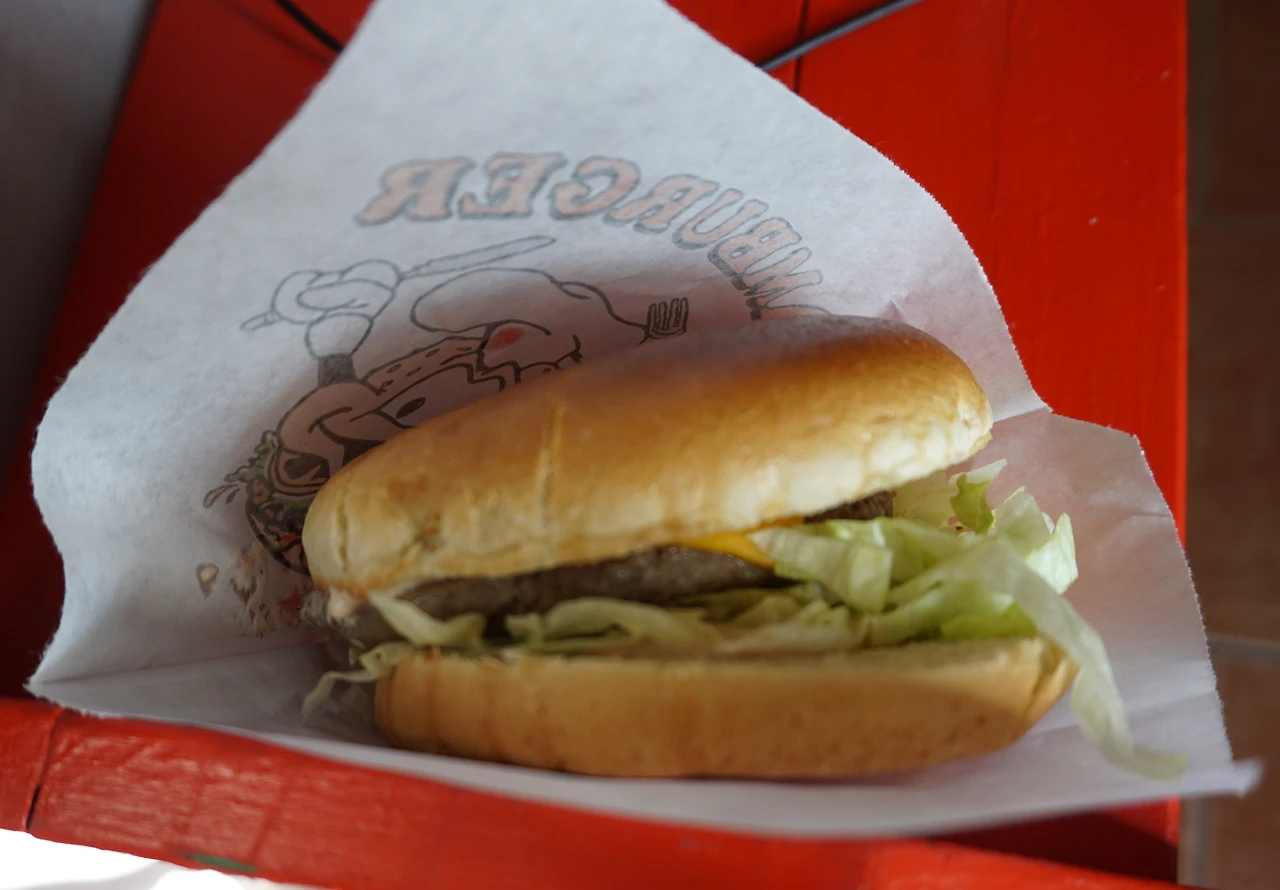 버거 사들고 귀가.JPG