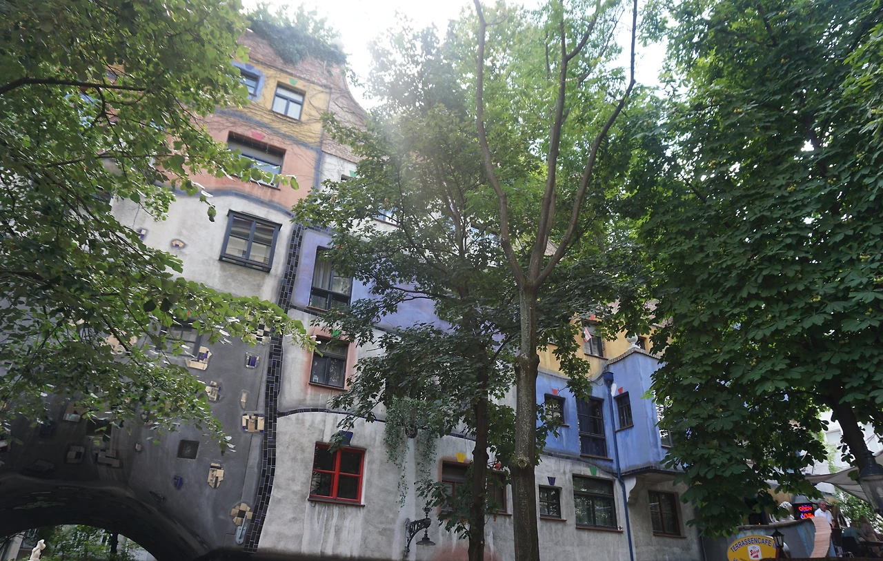 훈데르트바서하우스 햇빛과 나무 그리고 창문.JPG