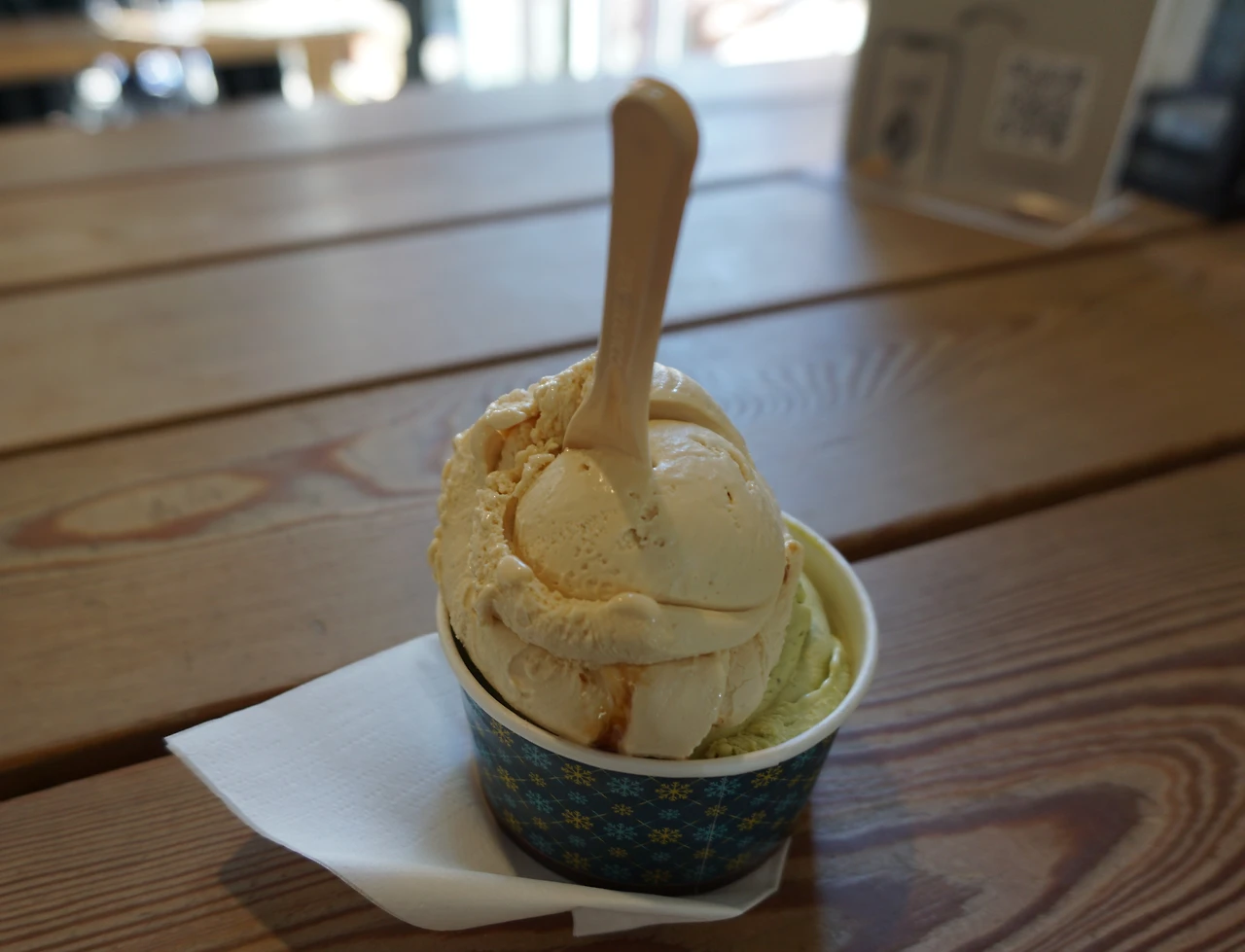 SALUHALL 아이스크림 DSC00279.JPG